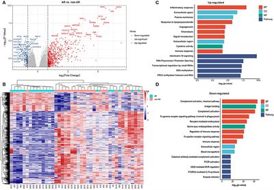 Pre-transplant Transcriptional Signature in Peripheral Blood Mononuclear Cells of Acute Renal Allograft Rejection